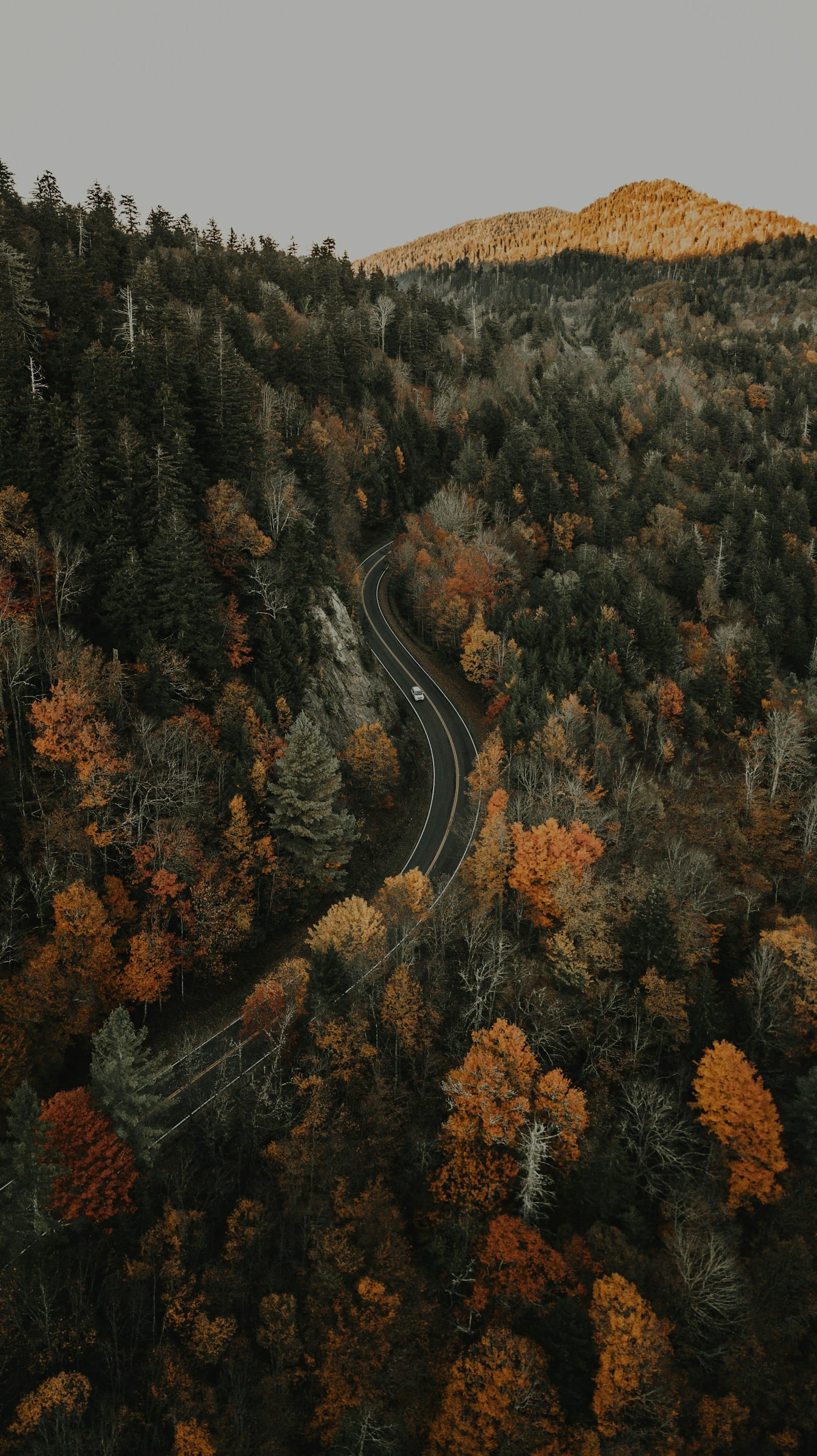 Blue Ridge mountains in north Georgia