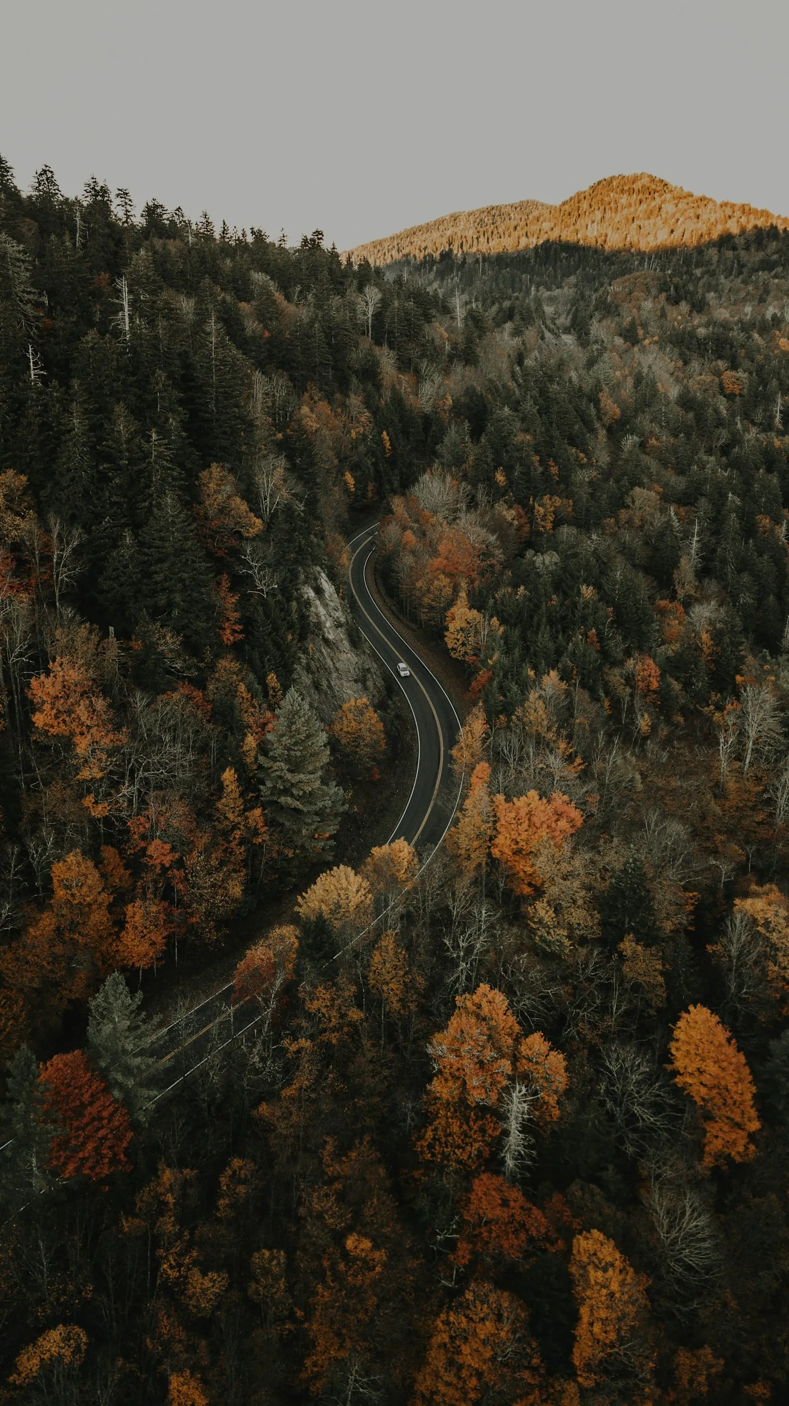Blue Ridge mountains in north Georgia